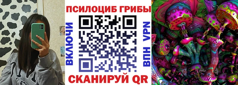 гидра маркетплейс  Фрязино  Псилоцибиновые грибы прущие грибы 